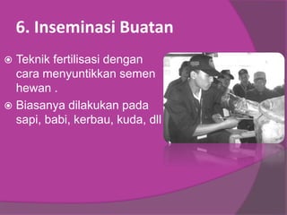 6. Inseminasi Buatan
 Teknik fertilisasi dengan
cara menyuntikkan semen
hewan .
 Biasanya dilakukan pada
sapi, babi, kerbau, kuda, dll
 