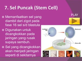 7. Sel Puncak (Stem Cell)
 Memanfaatkan sel yang
diambil dari zigot pada
fase 16 sel s/d blastula
 Digunakan untuk
dicangkokkan pada
jaringan yang rusak
supaya sembuh.
 Sel yang dicangkokkan
akan menjadi jaringan
seperti di sekitarnya
PLAY
 