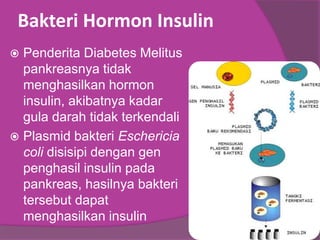 Bakteri Hormon Insulin
 Penderita Diabetes Melitus
pankreasnya tidak
menghasilkan hormon
insulin, akibatnya kadar
gula darah tidak terkendali
 Plasmid bakteri Eschericia
coli disisipi dengan gen
penghasil insulin pada
pankreas, hasilnya bakteri
tersebut dapat
menghasilkan insulin
 