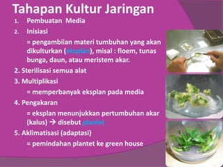 Tahapan Kultur Jaringan
1. Pembuatan Media
2. Inisiasi
= pengambilan materi tumbuhan yang akan
dikulturkan (eksplan), misal : floem, tunas
bunga, daun, atau meristem akar.
2. Sterilisasi semua alat
3. Multiplikasi
= memperbanyak eksplan pada media
4. Pengakaran
= eksplan menunjukkan pertumbuhan akar
(kalus)  disebut planlet
5. Aklimatisasi (adaptasi)
= pemindahan plantet ke green house
 