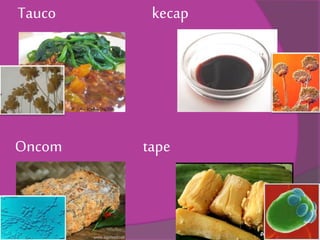 Tauco kecap
Oncom tape
 