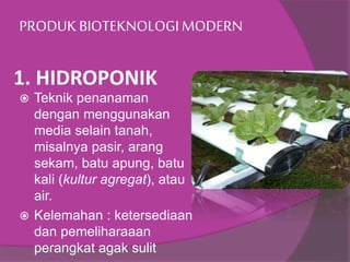 1. HIDROPONIK
 Teknik penanaman
dengan menggunakan
media selain tanah,
misalnya pasir, arang
sekam, batu apung, batu
kali (kultur agregat), atau
air.
 Kelemahan : ketersediaan
dan pemeliharaaan
perangkat agak sulit
PRODUK BIOTEKNOLOGIMODERN
 