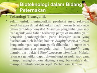 Bioteknologi.pptx materi IPA kelas 9 SMP | PPTX