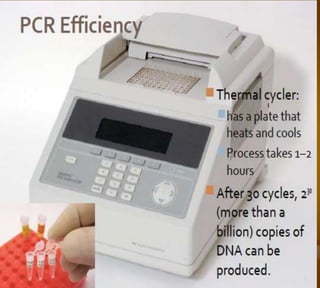 Bioteknologi 8-basic techniques in biotechnology