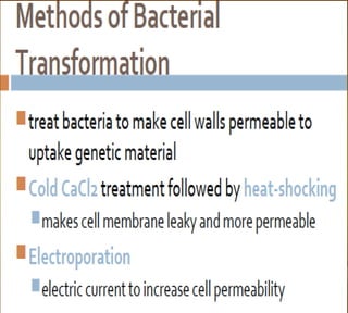 Bioteknologi 8-basic techniques in biotechnology