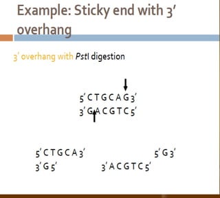 Bioteknologi 8-basic techniques in biotechnology