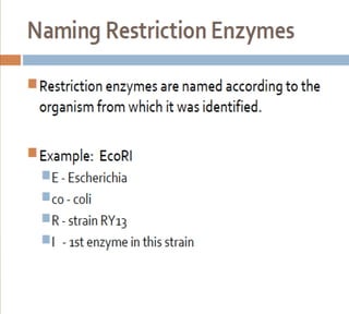Bioteknologi 8-basic techniques in biotechnology
