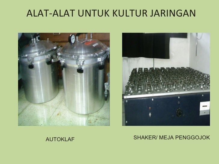 Bioteknologi (1)