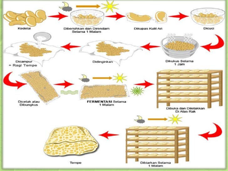 Bioteknologi (2)