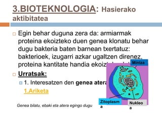 3.BIOTEKNOLOGIA: Hasierako
aktibitatea
 Egin behar duguna zera da: armiarmak
proteina ekoizteko duen genea klonatu behar
dugu bakteria baten barnean txertatuz:
bakterioek, izugarri azkar ugaltzen direnez,
proteina kantitate handia ekoiztuko dute.
 Urratsak:
 1. Interesatzen den genea atera:
1.Ariketa
Mintza
Zitoplasm
a
Nukleo
a
Genea bilatu, ebaki eta atera egingo dugu
 