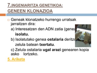 7.INGENIARITZA GENETIKOA:
GENEEN KLONAZIOA
 Geneak klonatzeko hurrengo urratsak
jarraitzen dira:
a) Interesatzen den ADN zatia (genea)
isolatu.
b) Isolatutako genea ostalaria deritzon
zelula batean txertatu.
c) Zelula ostalaria ugal arazi genearen kopia
asko lortzeko.
5. Ariketa
 