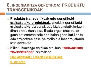 8. INGENIARITZA GENETIKOA: PRODUKTU
TRANSGENIKOAK
 Produktu transgenikoak edo genetikoki
eraldatutako produktuak: gizakiak genetikoki
eraldatutako bizidunak edo bizidunetatik lortzen
diren produktuak dira. Beste organismo baten
gene bat sartzen zaie edo haien gene bat kendu
edo eraldatzen zaie. Animalia ala landare jatorria
izan dezakete.
 Klikatu hurrengo estekan eta ikusi “ORGANISMOS
TRANSGENICOS” animazioa
ORGANISMO TRANSGENIKOAK
6. Ariketa
 