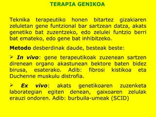 TERAPIA GENIKOA
Teknika terapeutiko honen bitartez gizakiaren
zeluletan gene funtzional bar sartzean datza, akats
genetiko bat zuzentzeko, edo zelulei funtzio berri
bat emateko, edo gene bat inhibitzeko.
Metodo desberdinak daude, besteak beste:
 In vivo: gene terapeutikoak zuzenean sartzen
direnean organo akastunean bektore baten bidez
birusa, esaterako. Adib: fibrosi kistikoa eta
Duchenne muskulu distrofia.
 Ex vivo: akats genetikoaren zuzenketa
laborategian egiten denean, gaixoaren zelulak
erauzi ondoren. Adib: burbuila-umeak (SCID)
 