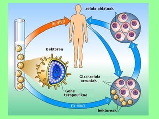 Bioteknologia