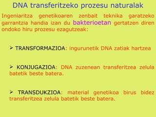 DNA transferitzeko prozesu naturalak
Ingeniaritza genetikoaren zenbait teknika garatzeko
garrantzia handia izan du bakterioetan gertatzen diren
ondoko hiru prozesu ezagutzeak:
 TRANSFORMAZIOA: ingurunetik DNA zatiak hartzea
 KONJUGAZIOA: DNA zuzenean transferitzea zelula
batetik beste batera.
 TRANSDUKZIOA: material genetikoa birus bidez
transferitzea zelula batetik beste batera.
 