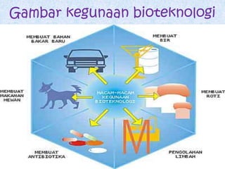 Gambar kegunaan bioteknologi 
 