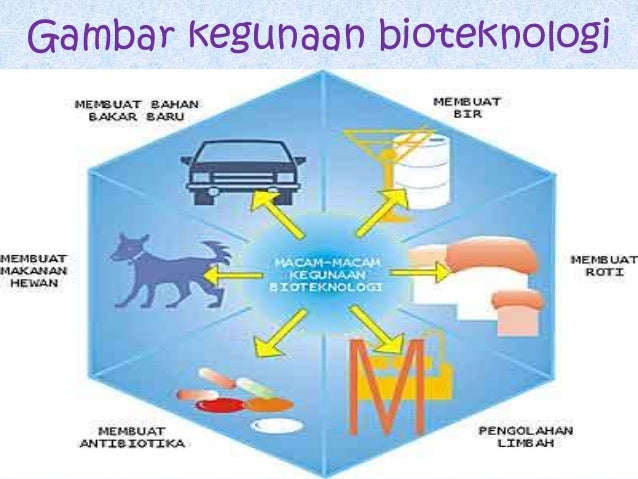Bioteknologi friends kelas 9 b SMPN 264 Jakarta