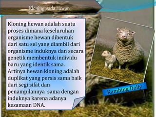 Kloning hewan adalah suatu
proses dimana keseluruhan
organisme hewan dibentuk
dari satu sel yang diambil dari
organisme induknya dan secara
genetik membentuk individu
baru yang identik sama.
Artinya hewan kloning adalah
duplikat yang persis sama baik
dari segi sifat dan
penampilannya sama dengan
induknya karena adanya
kesamaan DNA.
Kloning pada Hewan
 
