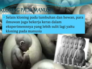 KLONING PADA MANUSIA
 Selain kloning pada tumbuhan dan hewan, para
ilmuwan juga bekerja keras dalam
eksperimennnya yang lebih sulit lagi yaitu
kloning pada manusia
 