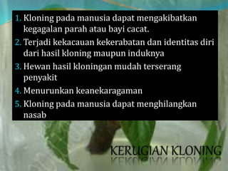 1. Kloning pada manusia dapat mengakibatkan
kegagalan parah atau bayi cacat.
2. Terjadi kekacauan kekerabatan dan identitas diri
dari hasil kloning maupun induknya
3. Hewan hasil kloningan mudah terserang
penyakit
4. Menurunkan keanekaragaman
5. Kloning pada manusia dapat menghilangkan
nasab
 