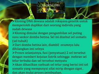 Kloning DNA dewasa adalah rekayasa genetik untuk
memperoleh duplikat dari seorang individu yang
sudah dewasa
Kloning dimulai dengan pengambilan sel puting
susu seekor domba betina. Sel ini disebut sel somatis
(sel tubuh)
Dari domba betina lain, diambil ovumnya lalu
dihilangkan inti selnya
Proses selanjutnya, fusi (penyatuan) 2 sel tersebut
dengan memberi kejutan listrik sehingga mebran sel
telur terbuka dan sel tersebut menyatu
Akan dihasilkan ssebuah sel telur yang berisi inti sel
somatis yang mempunyai sifat mirip dengan zigot ,
dan akan mulai proses pembuahan.
KLONING DNA
DEWASA
 