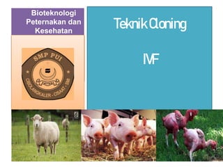 Bioteknologi
Peternakan dan
Kesehatan
TeknikCloning
IVF
 