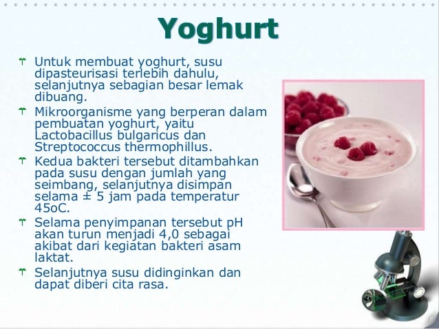 25+ Inspirasi Keren Cara Membuat Yogurt Bioteknologi - Anna K. Cummings