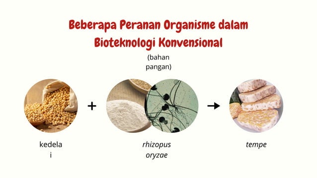 Bioteknologi Konvensional Materi Biologi | PPTX