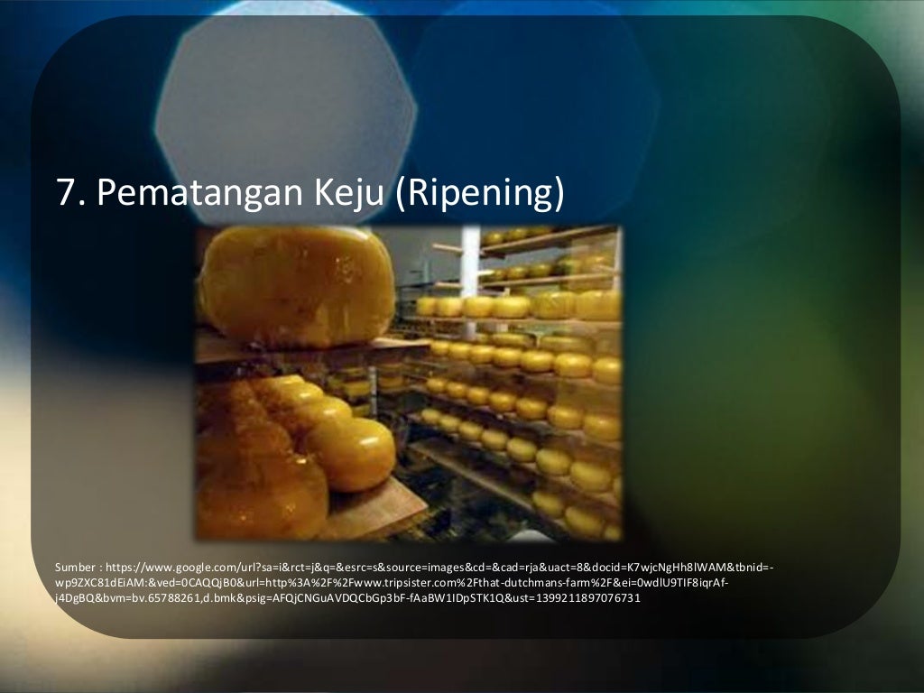 pembuatan keju