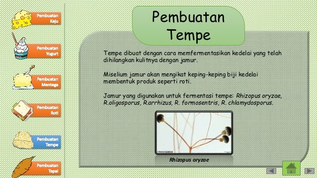 Bioteknologi konvensional(t)