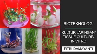 BIOTEKNOLOGI
KULTUR JARINGAN/
TISSUE CULTURE/
IN VITRO
FITRI DAMAYANTI
 