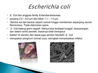 Bioteknologi Modern | PPT