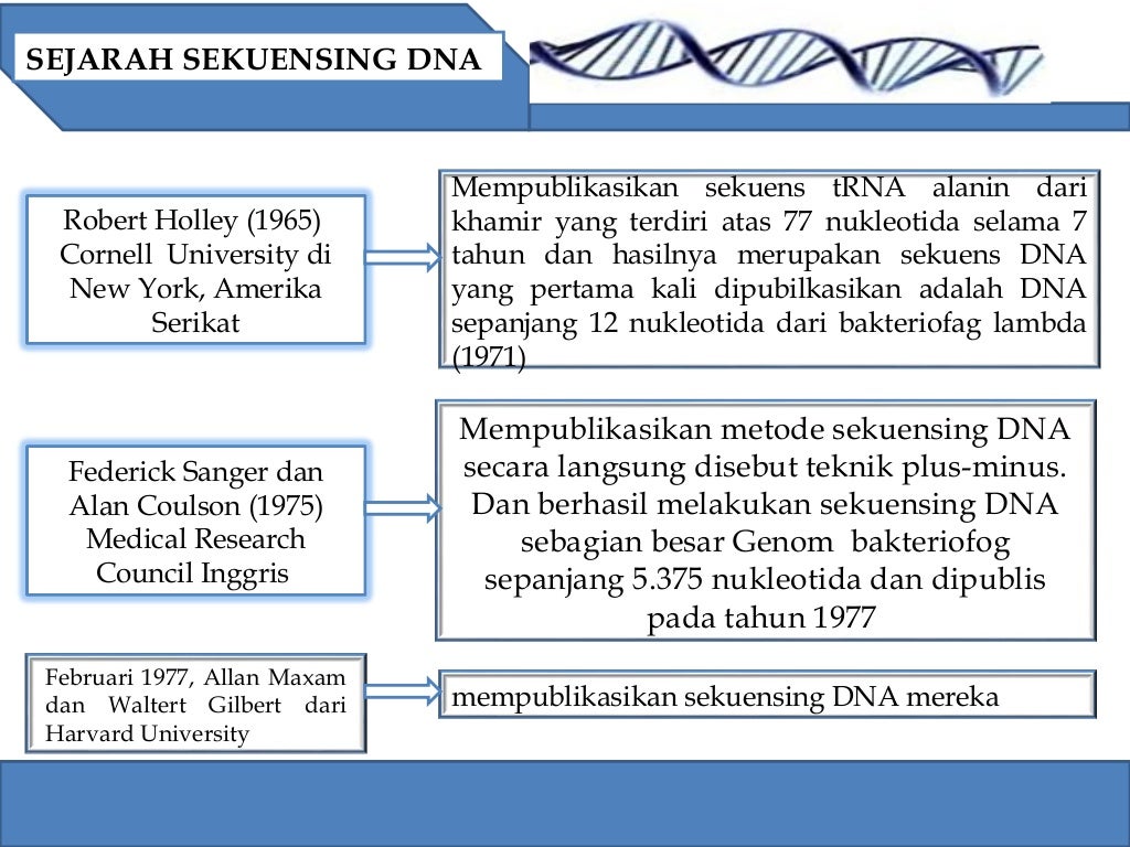 laporan sekunsing dna laporan sekunsing dna