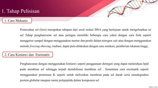 1. Tahap Pelisisan
1. Cara Mekanis
Pemecahan sel (lisis) merupakan tahapan dari awal isolasi DNA yang bertujuan untuk mengeluarkan isi
sel Tahap penghancuran sel atau jaringan memiliki beberapa cara yakni dengan cara fisik seperti
menggerus sampel dengan menggunakan mortar dan pestle dalam nitrogen cair atau dengan menggunakan
metode freezing-thawing, iradiasi, dapat pula dilakukan dengan cara sonikasi, pemberian tekanan tinggi,
2. Cara Kimiawi dan Enzimatis
Penghancuran dengan menggunakan kimiawi seperti penggunaan detergen yang dapat melarutkan lipid
pada membran sel sehingga terjadi destabilisasi membran sel . Sementara cara enzimatik seperti
menggunakan proteinase K seperti untuk melisiskan membran pada sel darah serta mendegradasi
protein globular maupun rantai polipeptida dalam komponen sel
 
