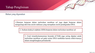 Tahap Penglisisan
Bahan yang digunakan
1.Deterjen berperan dalam melisiskan membran sel juga dapat berperan dalam
mengurangi aktivitas enzim nuklease yang merupakan enzim pendegradasi DNA
2. Sodium dodecyl sulphate (SDS) berperan dalam melisiskan membran sel
3. Cetyl trimethylammonium bromide (CTAB) juga sering dipakai untuk
melisiskan membran sel pada isolasi DNA tumbuhan karena efektivitasnya
dalam menghilangkan polisakarida
 