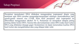 Tahap Prepitasi
Presipitasi (pemekatan) DNA dilakukan menggunakan isopropanol dingin yang
bertujuan agar DNA tersebut mengendap/mengumpul sekaligus memisahkannya dari
garam-garam mineral sisa CTAB. Pelet hasil presipitasi oleh isopropanol ini
dibersihkan menggunakan alkohol 70 %. Pemurnian ini merupakan tahapan paling
penting dalam Isolasi DNA. Karena bila ada kontaminan selain DNA maka hasil isolasi
DNA yang dilakukan diangap gagal. Kontaminasi ini dapat menurunkan kualitas DNA
hasil isolasi dan mengakibatkan data yang didapat tidak valid.
 