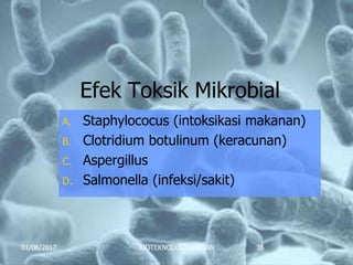 01/06/2017 BIOTEKNOLOGI PANGAN 36
Efek Toksik Mikrobial
A. Staphylococus (intoksikasi makanan)
B. Clotridium botulinum (keracunan)
C. Aspergillus
D. Salmonella (infeksi/sakit)
 