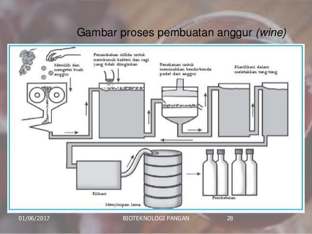 Bioteknologi pangan