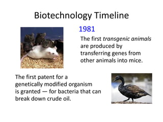 Biotechnology Timeline
1981
The first transgenic animals
are produced by
transferring genes from
other animals into mice.
The first patent for a
genetically modified organism
is granted — for bacteria that can
break down crude oil.

 