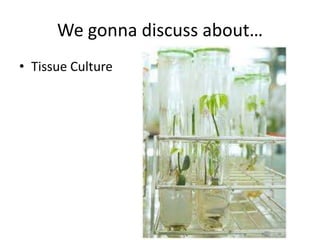 We gonna discuss about…
• Tissue Culture

 