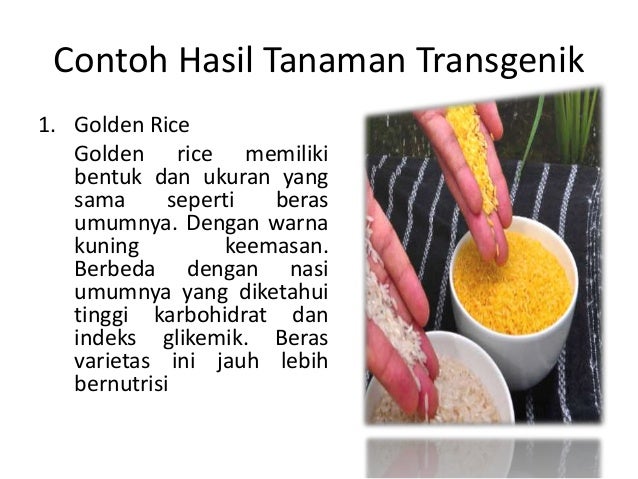 Bioteknologi Transgenik