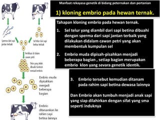 Bioteknologi yuanita 12_Science_2 | PPTX
