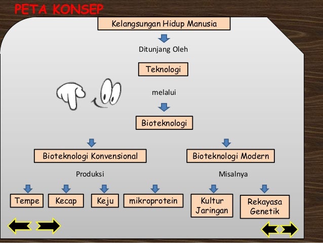 Apa Yang Dimaksud Dengan Biomasa