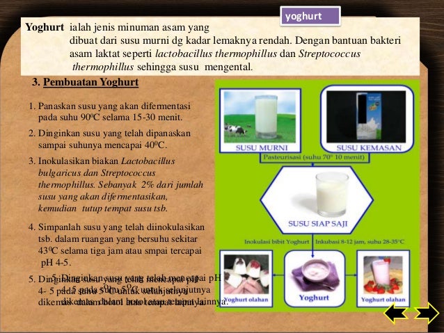 Bioteknologi By Nafi Ah Ema Suryani