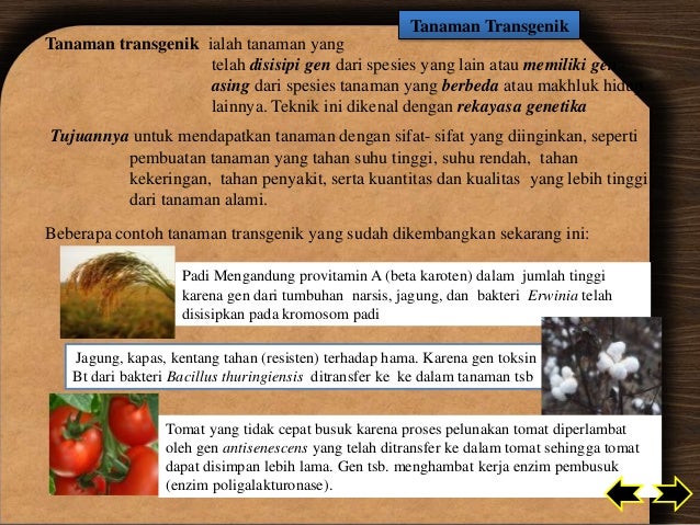 Bioteknologi by Nafi'ah Ema Suryani Bioteknologi by Nafi'ah Ema Suryani