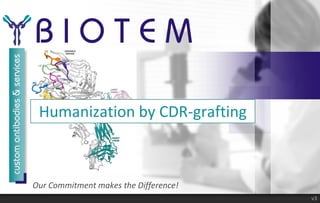 Our Commitment makes the Difference!
Humanization by CDR-grafting
v3
 