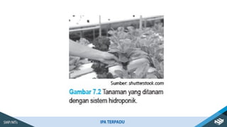 Pemanfaatan BIOTERA ( Bioteknologi ).pptx