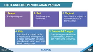 BIOTEKNOLOGI PENGOLAHAN PANGAN
1. Tempe
• Rhizopus oryzae.
2. Roti
• Saccharomyces
cerevisiae
3. Yoghurt
• Lactobacillus bulgaricus
dan Streptococcus
thermophillus
4. Keju
• Lactobacillus bulgaricus dan
Streptococcus thermophillus
(Proses pembuatan keju,susu
ditambahkan enzim renin agar
kasein mengendap
5. Protein Sel Tunggal
• Saccharomyces cerevisiae,
Candida utilis, Chlorella,
dan Arthrospira (Spirulina).
 