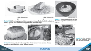 Pemanfaatan BIOTERA ( Bioteknologi ).pptx
