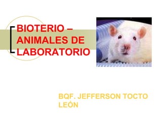 BIOTERIO –
ANIMALES DE
LABORATORIO
BQF. JEFFERSON TOCTO
LEÓN
 